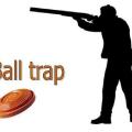 Ball trap