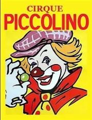 Piccolino